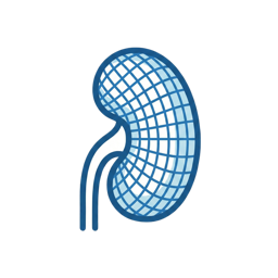 PKD Workflow